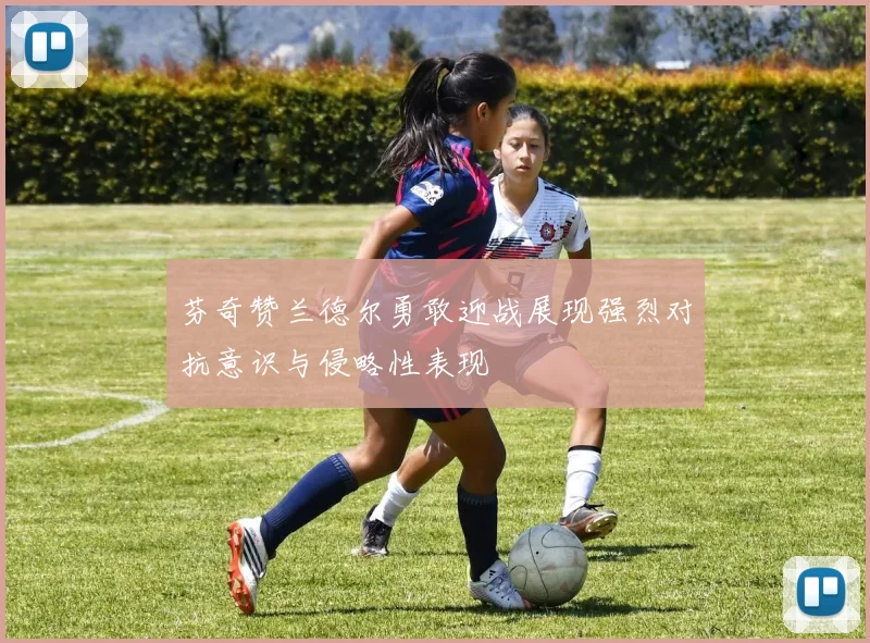 芬奇赞兰德尔勇敢迎战展现强烈对抗意识与侵略性表现
